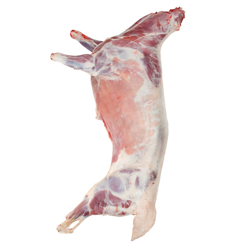 Lamb Carcass